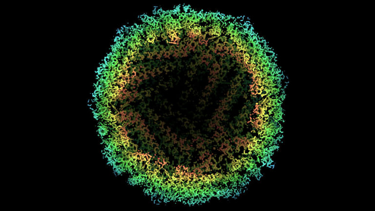 Resolution breakthrough Cryo–electron microscopy – Sic Science